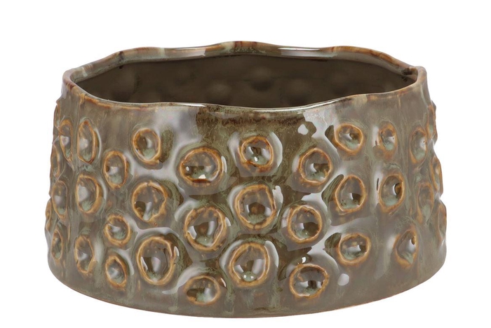 <h4>Alora Majestic Green Pot 25x25x12cm</h4>