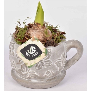 Cement vlinder kop en schotel 11cm