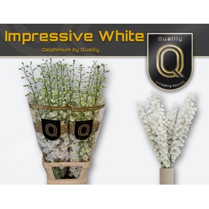 DELPH DU IMPR WHITE 130CM X30
