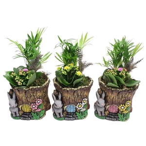 0397 BOOMSTAM INDOOR