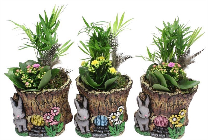 <h4>0397 BOOMSTAM INDOOR</h4>