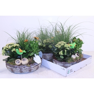 ARR TUINPLANTEN