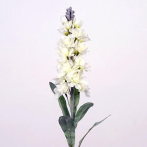 AF Matthiola L78cm white