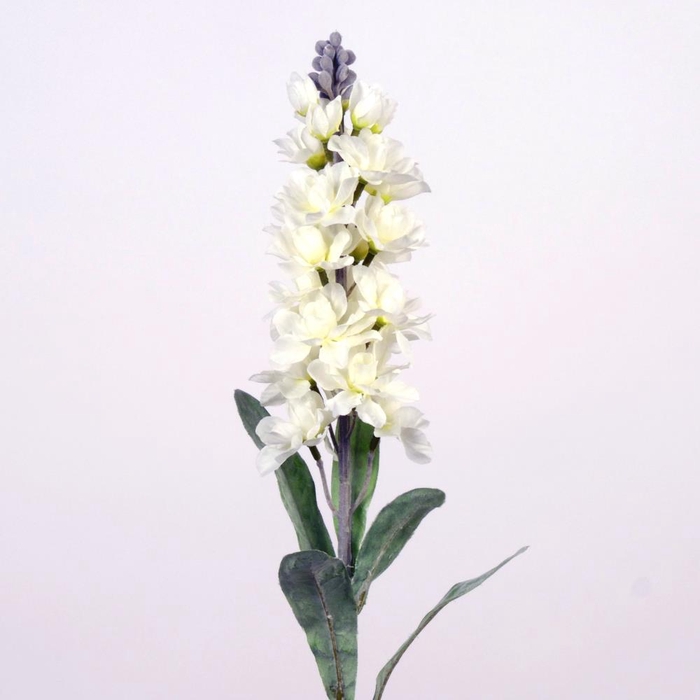 <h4>AF Matthiola L78cm white</h4>