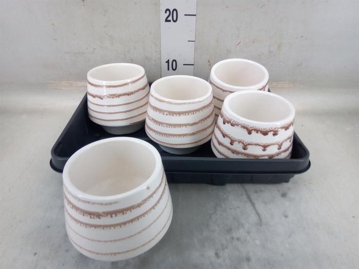 <h4>Pot   ...Keramische H%</h4>