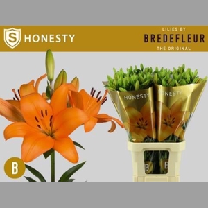 LI LA HONESTY