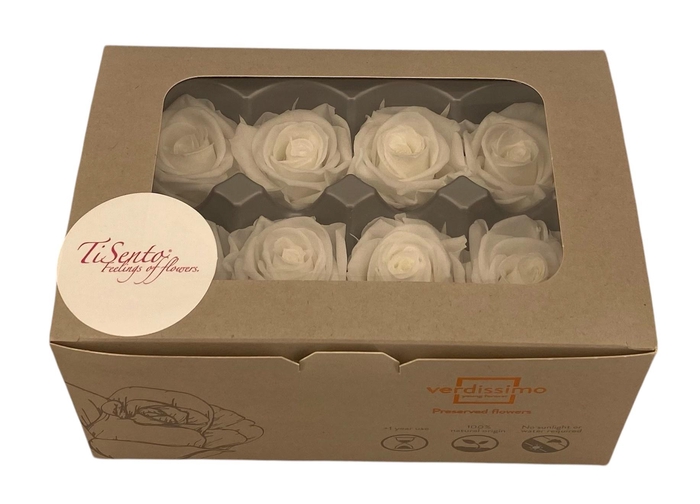 <h4>ARR ROSA POT H%</h4>