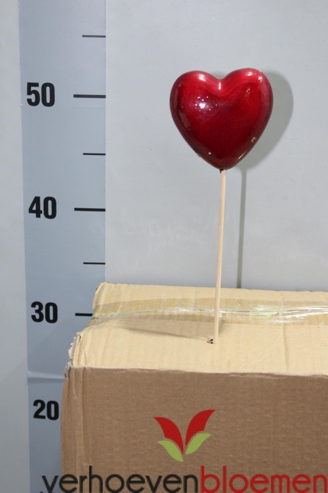 <h4>HARTJE OP STOK H%</h4>