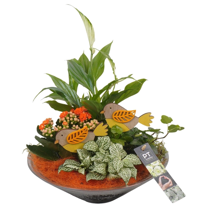 <h4>Arr.    Planten  L%</h4>