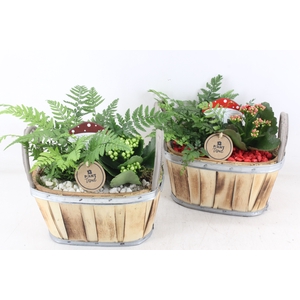 arr2 PL - Hout ovaal 2 oor 338/4