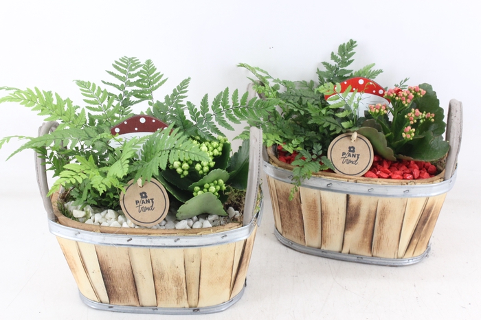 <h4>arr2 PL - Hout ovaal 2 oor 338/4</h4>