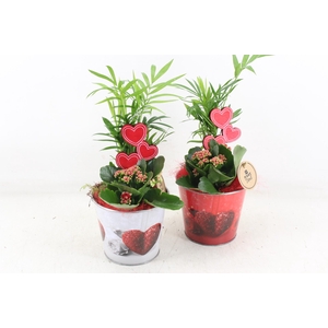 arr2 PL - Zink pot white/red met hart