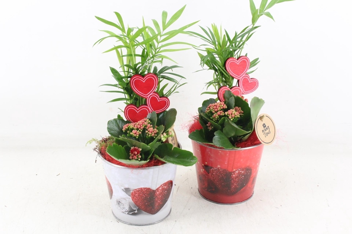 <h4>arr2 PL - Zink pot white/red met hart</h4>