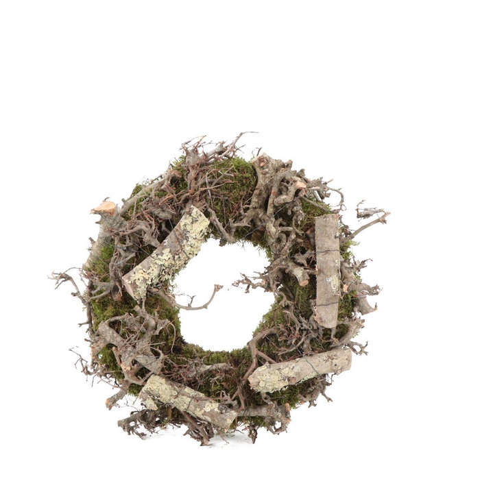 <h4>Krans Moss Bonsai Larix</h4>