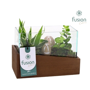 Aquarium XSmall Pasen met Arrangement