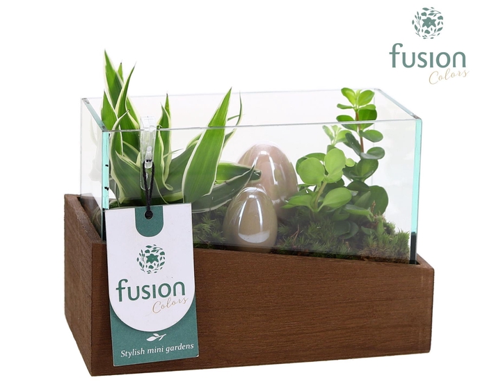 <h4>Aquarium XSmall Pasen met Arrangement</h4>