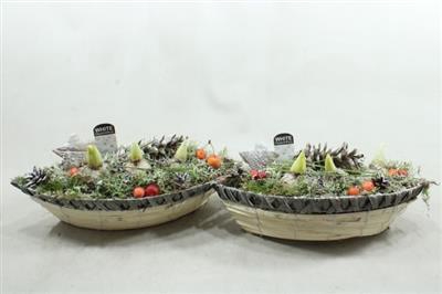 <h4>1147 TITANIC X3 HYA</h4>