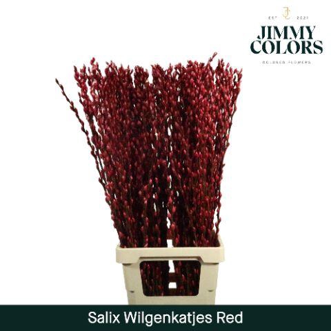 <h4>Salix Katjes L90 Klbh. Rood</h4>