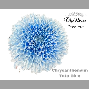 CHR G TUTU BLUE