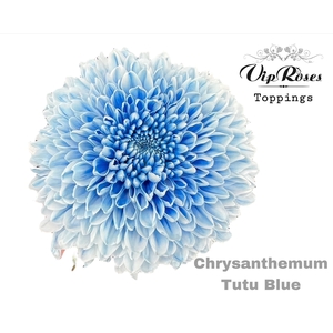 CHR G TUTU BLUE