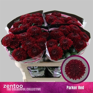 Chr G Parker Red