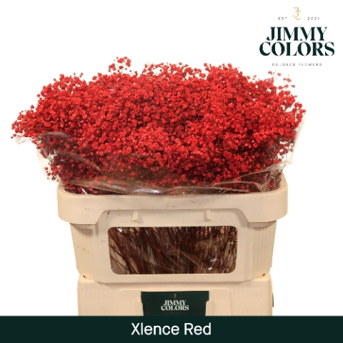 <h4>Gyps Xlence l70 Red</h4>