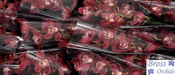 <h4>CYMB T VULCAN</h4>