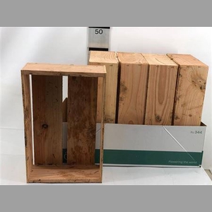 Houten Hobbykistje 10x39x25