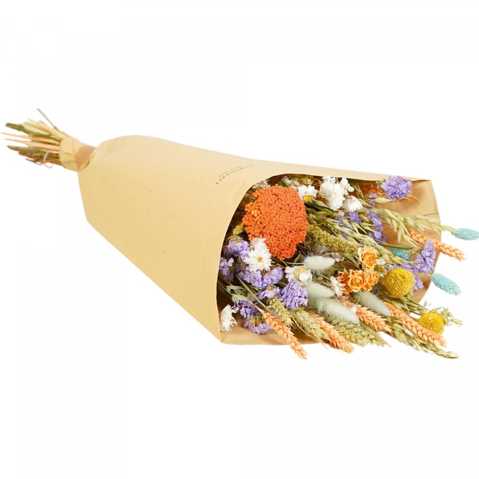 <h4>Droogbloem Boeket Field 60cm</h4>