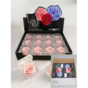 R PRESERVED DIAMANT ROSE