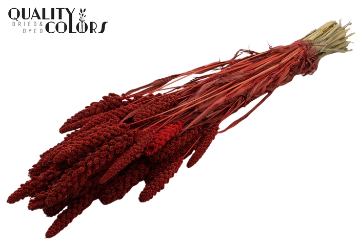 <h4>Gierst per bunch Red</h4>