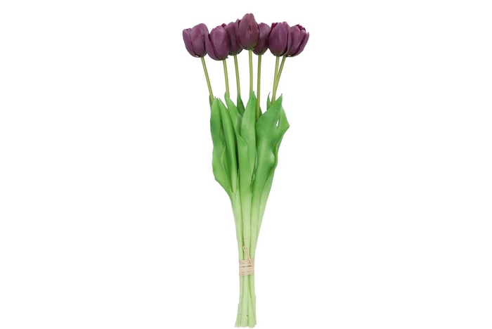 <h4>Silk Tulip 7x Purple 43cm Nm</h4>