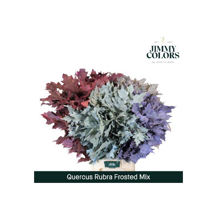 <h4>Quercus Rubra L80 Frosted Mix</h4>