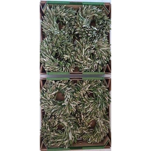 Wr Olijf 20cm (anttar)