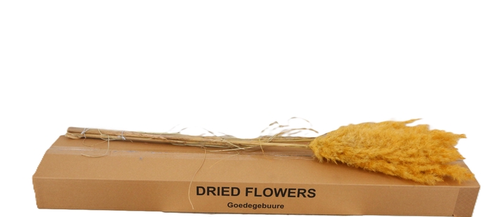 <h4>DROOGBL BEWERKT H%</h4>