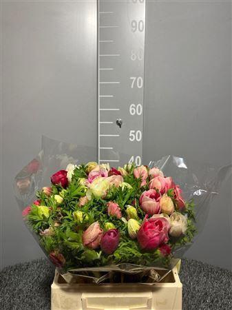 <h4>Anem Mis + Pink</h4>