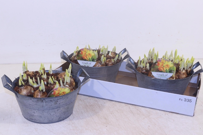 <h4>ARR N TETE A TETE</h4>