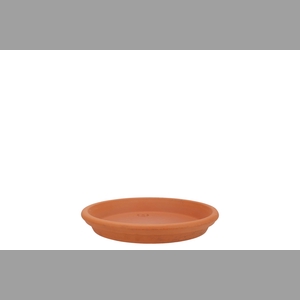 Terracotta Waterdish D15xh3cm