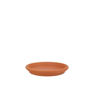 Terracotta Waterdish D15xh3cm