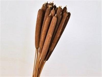 <h4>DROOG TYPHA BRUIN X2</h4>