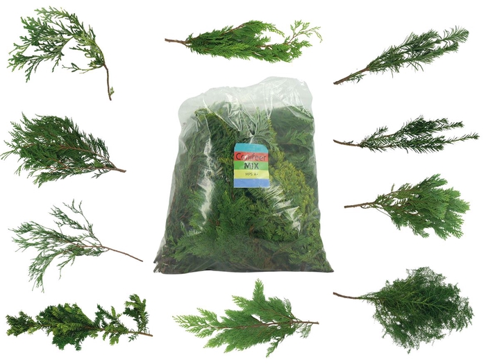 Conifeer Mix Zak (5 Kg)