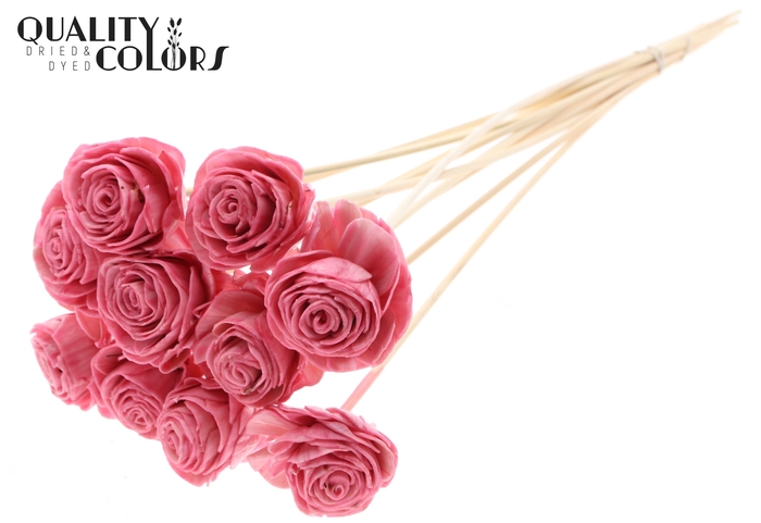 Shola Beauty Rose 6cm on stem Wax Light Pink