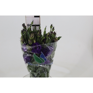 LISIANTHUS ABC 2-3 BLUE 060 CM MIN 500 GRAMAS AZUL