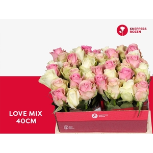 R GR LOVE MIX 40