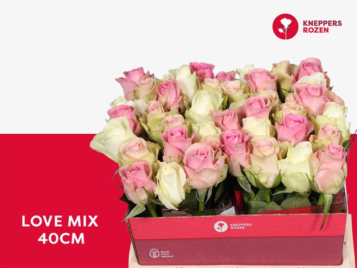 <h4>R GR LOVE MIX 40</h4>