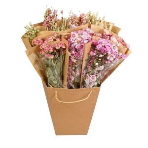 Droogbloemen-Dried Mono Mix 50cm-Pink