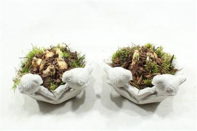 <h4>3913 Drinkschaal Tete</h4>