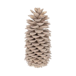 Pinecone Sugar Wax Sugared Slv L35