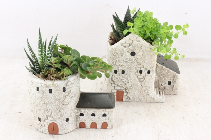 <h4>arr3 SN - Casa de la Torre x8</h4>
