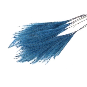 Bunch Fluffy Silver Grass 10pcs L75